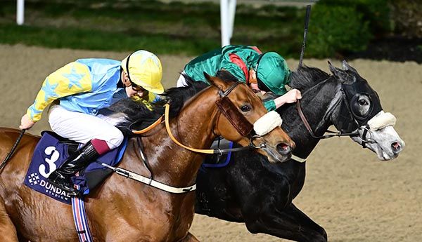 Daboya (far side) just gets the better of Polaris Dancer 