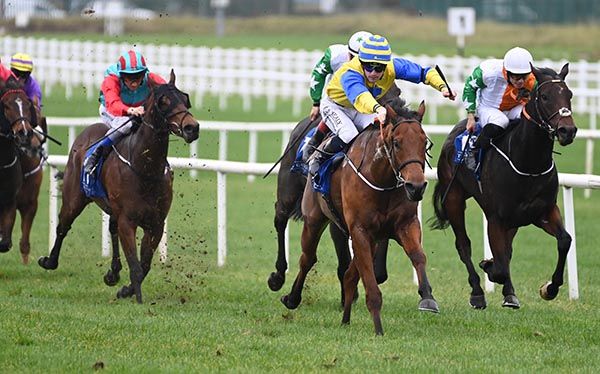 Two Stars and Joey Sheridan (yellow/blue silks)