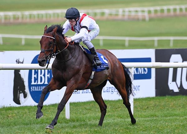 Hamish and Richard Kingscote 