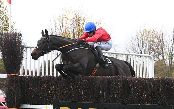 Naas 10 11 24 Quilixios and Darragh O Keeffe win for trainer Henry de Bromhead  