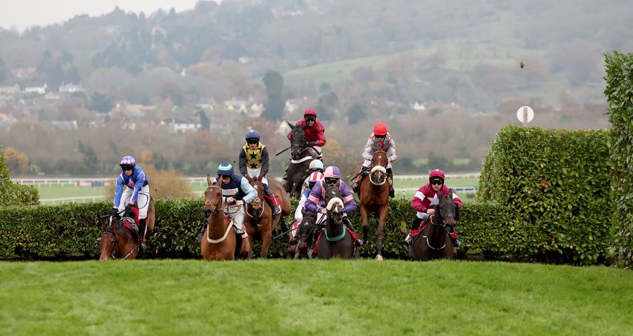 Action from the cross-country chase at Cheltenham