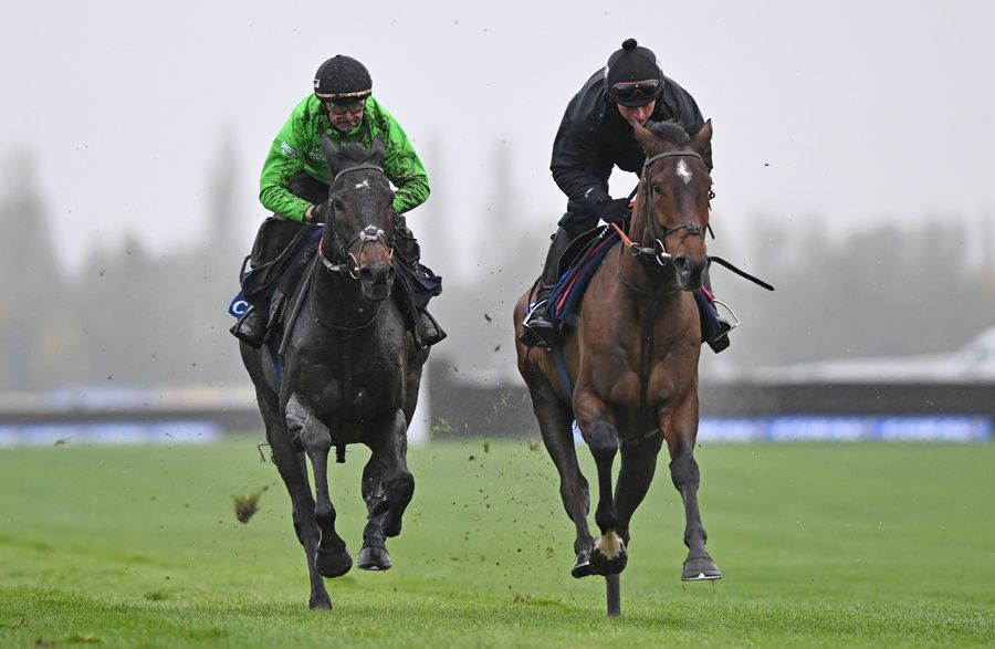 Sir Gino (right) galloping with Constitution Hill at Newbury last week