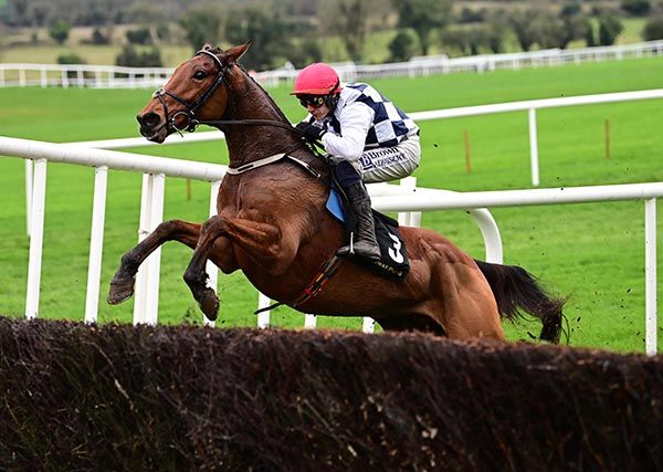 Ballyburn puts in another good jump for Paul Townend 