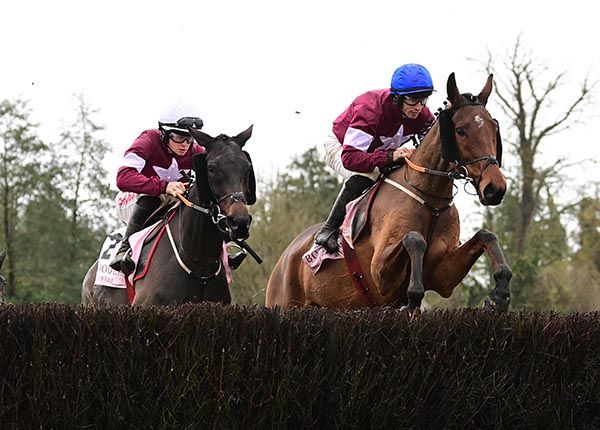 Stellar Story and Jack Kennedy, blue cap, land Grade 2 honours