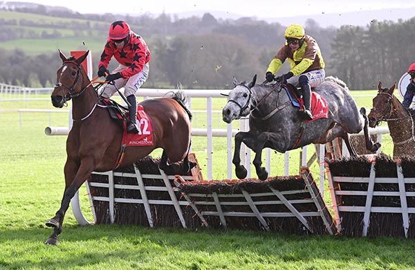 The Big Westerner (left) beats the grey Argento Boy 