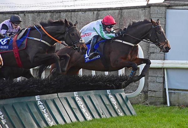 Danesfort Mayfly (right) and Danny Mullins