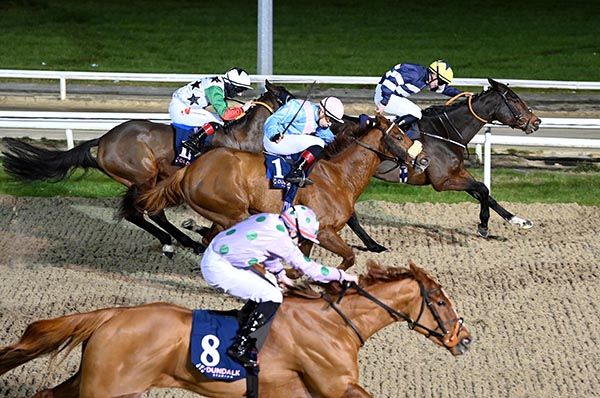 Belles Feuilles and Gary Carroll (far side) beat Limestone Red (noseband) and Ranko Express (nearest)