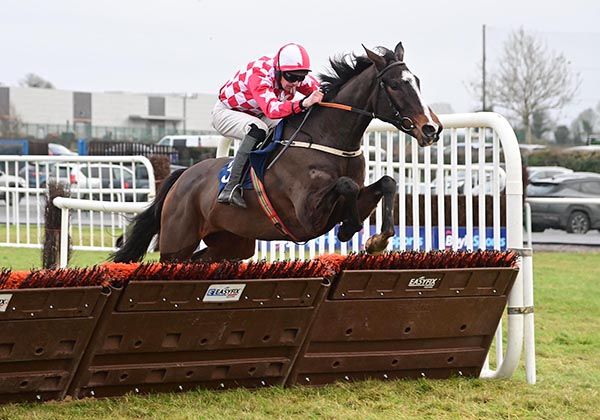 21 12 24 Thurles Brave Fortune and Jack Doyle win the Horse  Jockey Hotel Rated Novice Hurdle Healy Racing Photo