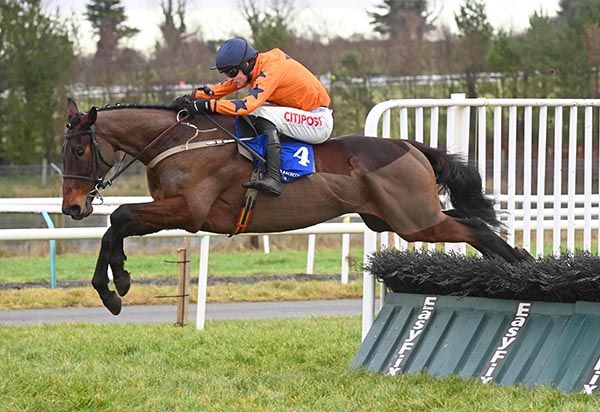 Final Demand winning at Limerick at Christmas