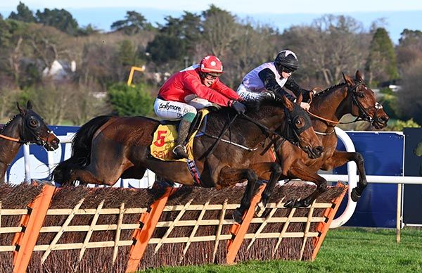  Home By The Lee (nearest) heads Bob Olinger at the last