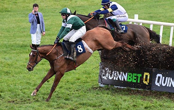 Jockey Ryan Treacy watches on as Whateys Quest leads over the last