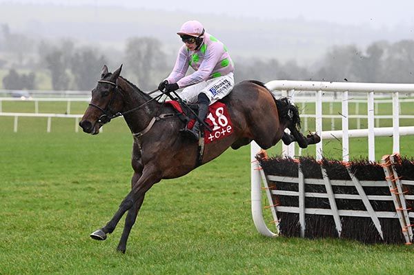 Sainte Lucie clears the last under Paul Townend