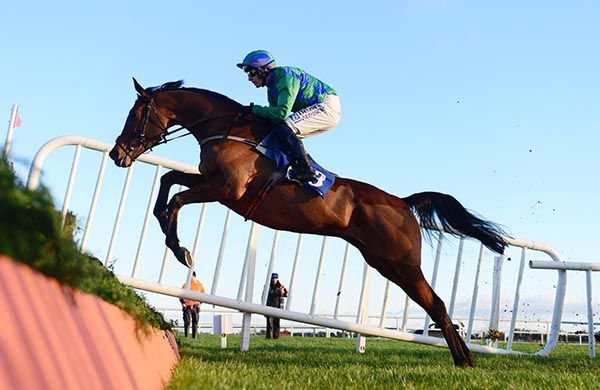 Champ Kiely put in a good shift at Fairyhouse