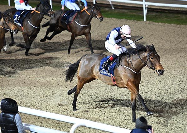 Storm Eric and Robbie Colgan 