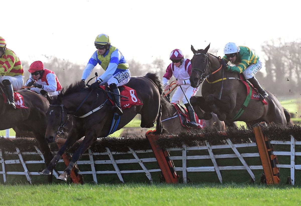 Rocky's Diamond (No.8) and Shane Fitzgerald winning the Galmoy Hurdle at Gowran