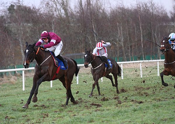 Road Exile and Josh Williamson win  the bumper