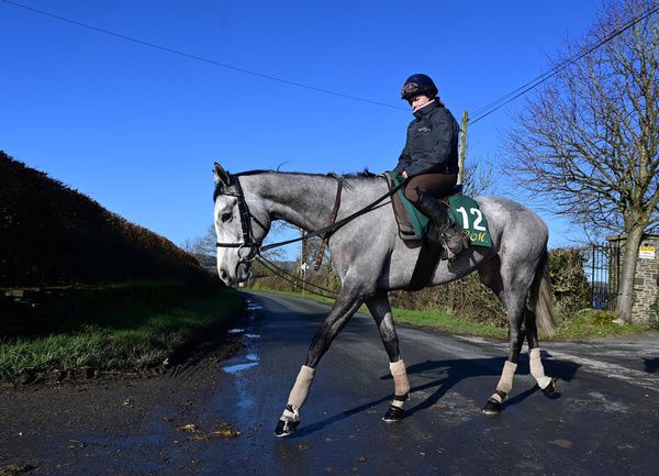 Lossiemouth and Niamh Roche cross the road to the gallops at Closutton