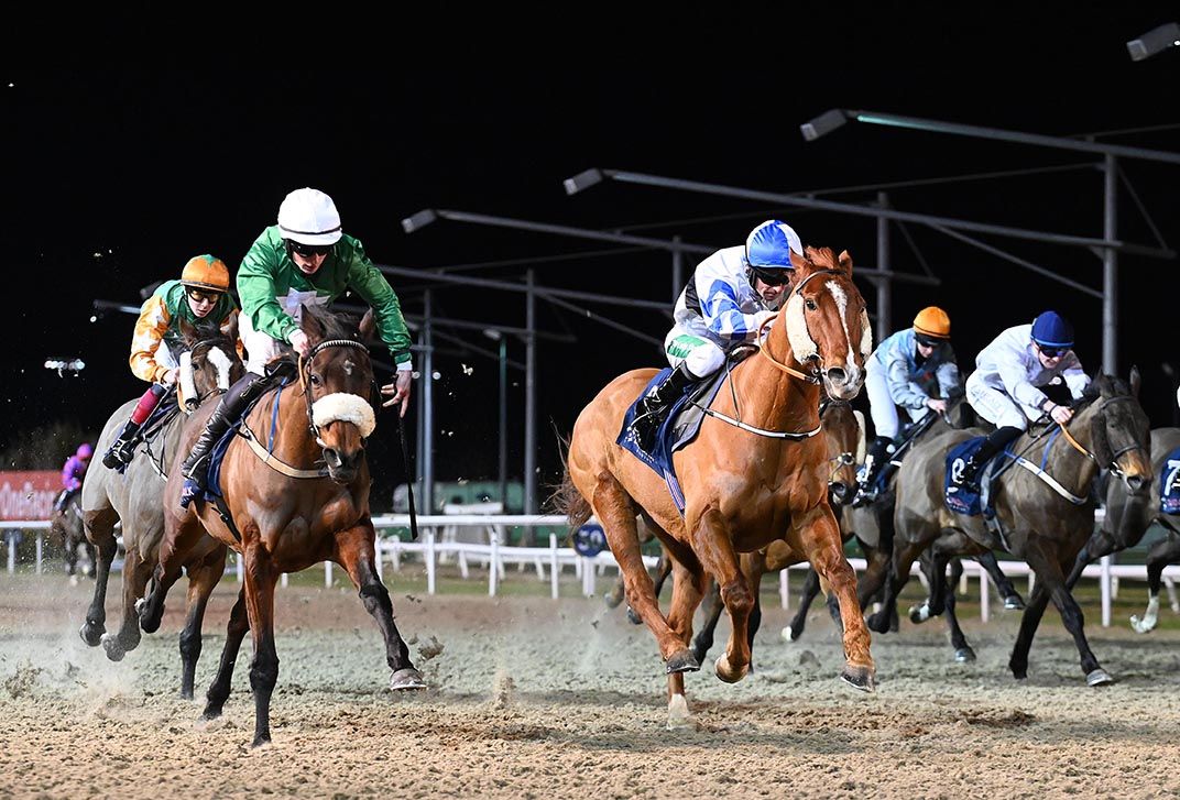 Omakase (left) and Darragh O'Sullivan get the better of Dromore Glory