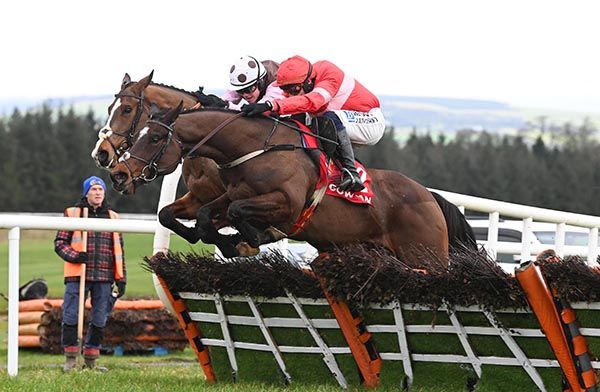 Blue Lemons (nearside) and Paul Townend