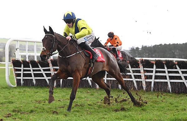 Punchestown 20 2 25 William Munny and Sean Flanagan win for trainer Barry Connell Healy Racing 