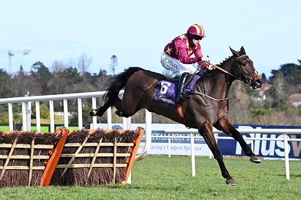 Koktail Divin and Rachael Blackmore clear the last