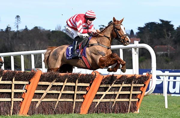 Brian Hayes and Barnahash Primrose tackle the last