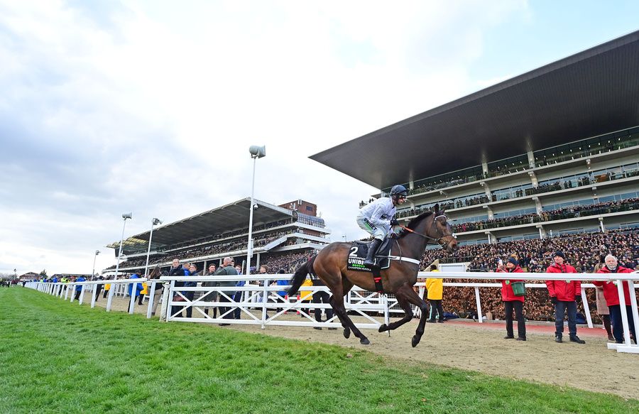 Constitution Hill and Nico de Boinville going to the start for The Champion Hurdle