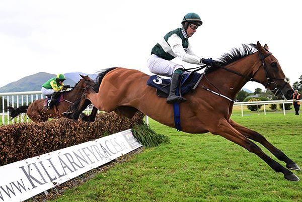 Killarney 18-7-25 Nurburgring & J.J.Slevin win the Lee Strand Novice Steeplechase (Photo HEALY RACING)